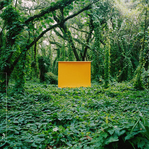 免费成人看黄色的网站
