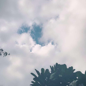 免费成人看黄色的网站
