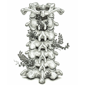 免费成人看黄色的网站
